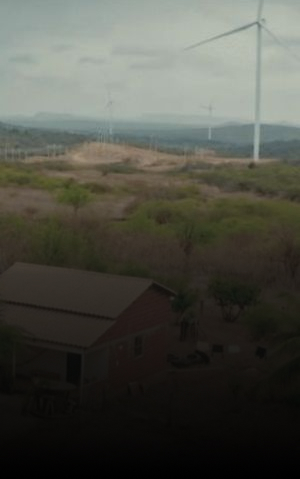 Três aerogeradores brancos sobre vegetação verde sob céu azul, representando a geração de energia eólica na transição energética.