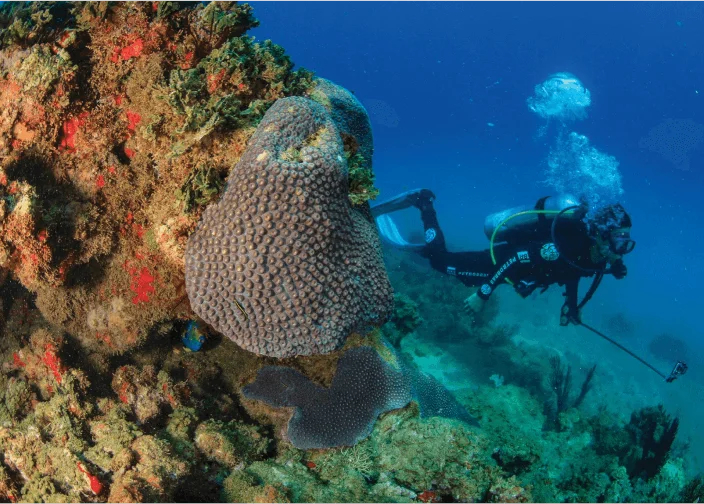 Man diving with specialized equipment in Petrobras' social and environmental project