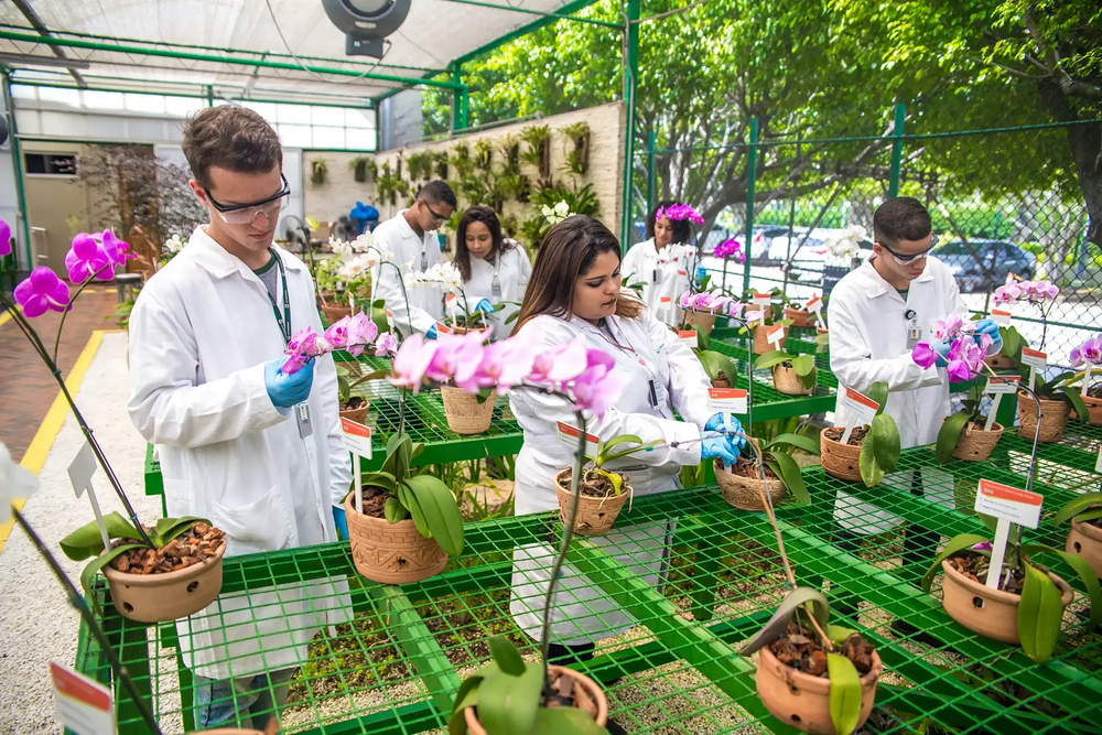 Seis jovens aprendizes da Petrobras com jalecos brancos interagem com flores em uma horta.