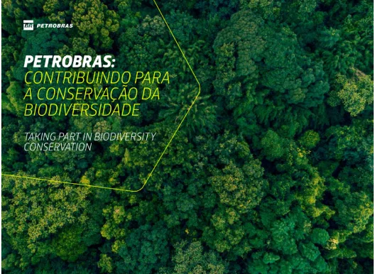 Imagem do Card
