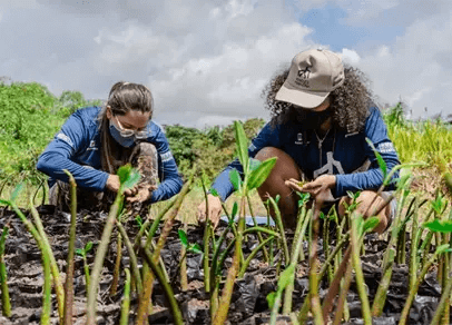 duas mulheres plantando mudas