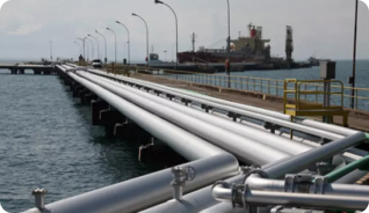 Picture of the Petrobras logistics terminal in São Sebastião.