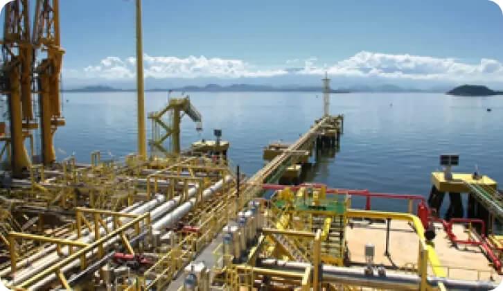 Picture of the Petrobras Baía de Guanabara LNG Regasification Terminal.