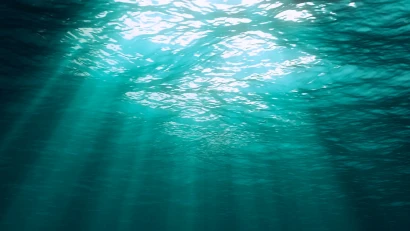 Underwater photograph, showing sunlight entering the sea.